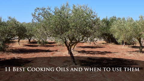The 11 Best Cooking Oils and When to Use Them