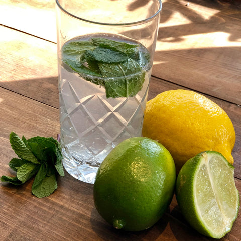 Citrus White Balsamic Mojito