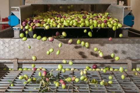 Aren't All Olive Oils the Same?