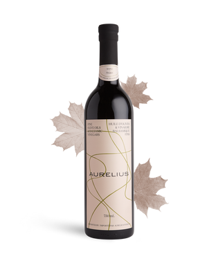 Maple Balsamic Vinegar