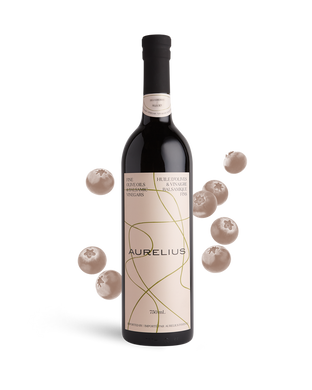 Blueberry Balsamic Vinegar